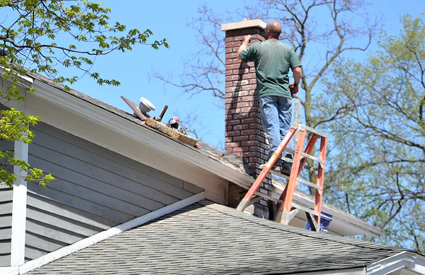 Chimney & Fireplace Inspections Services in Franklin Park, IL